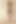 Casting Daisy Gold