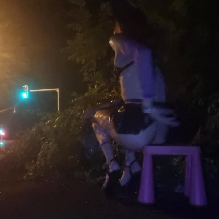A Whore in a Mini-Skirt Ras du CuL, on the Edge of the🛣Nationale 7 in BRUNOy. 2H00 VaneSsaBiTCHx PariSChienneTrvprod⁹¹