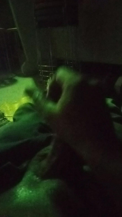 The best penas for women ass fuking