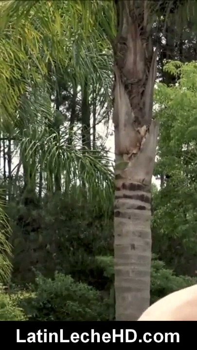 Two Amateur Latino Boys Fuck At Sex Retreat | Clip 2
