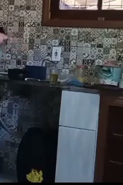 Niềm vui được đảm bảo với chú mèo này