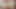 GROOBYVR: Alexa Scout Sits On Your Cock!
