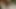 妻が夫の記録を作る