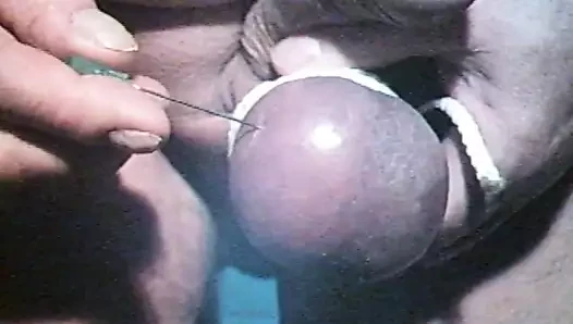 eier nadeln