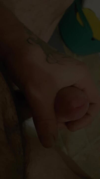 Cumming on the Toilet