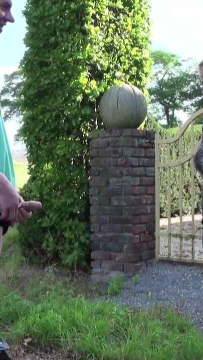 Iconic moment from "German Step Mom catch Step Son wank in Garden and Help with Fuck"