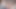 porno izlemek ve benim kedi oynuyor
