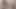 bodybuilder massive thick cock cum juicy bbc