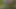 Kayınvalidemin bacakları sokakta genişliyor