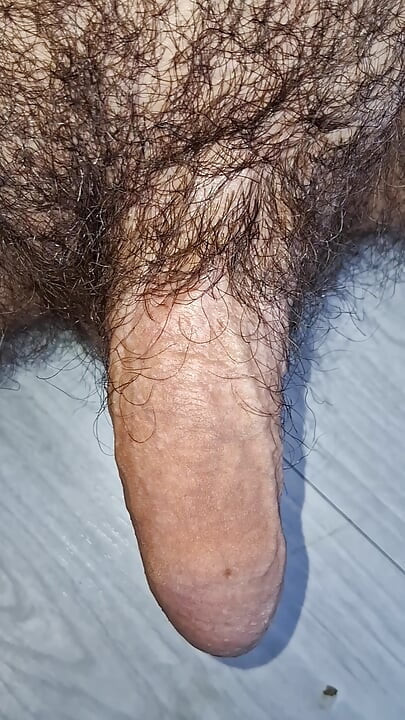 从软到硬的鸡巴