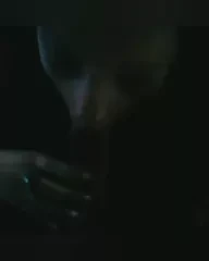 Pipa eua Patrinia