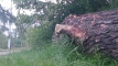 Pratinjau video