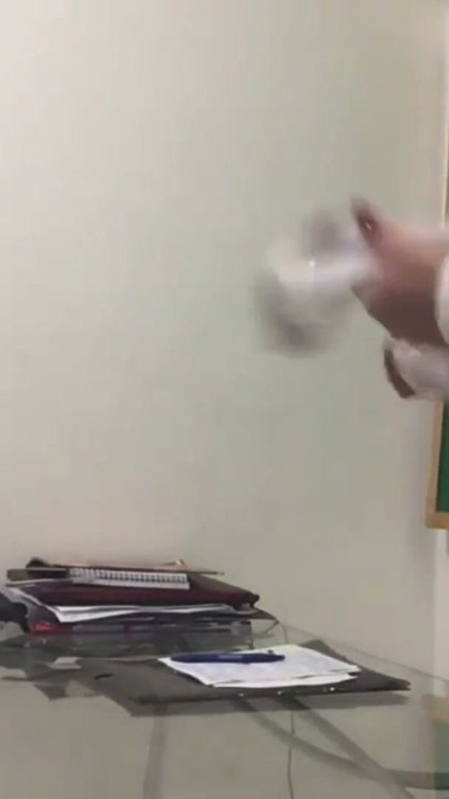 Black catra fucks teacher in classroom | Clip 1