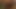 Das Luder und Ihr Spielzeug