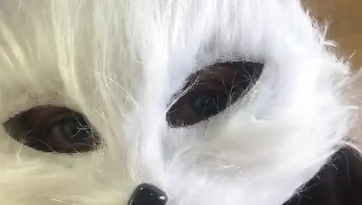 Bugün süt isteyen yaramaz bir kedi yavrusuyum