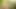 Ana Foxxx Fucks Kenna James with a Giant Green Dildo and They Cum Together, Wicked Porn Cosplay Parody