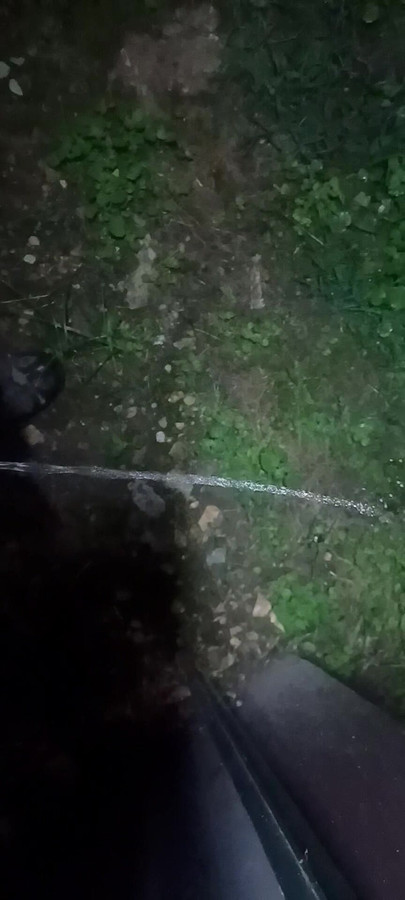 Wouldn't you wish to drink my piss
