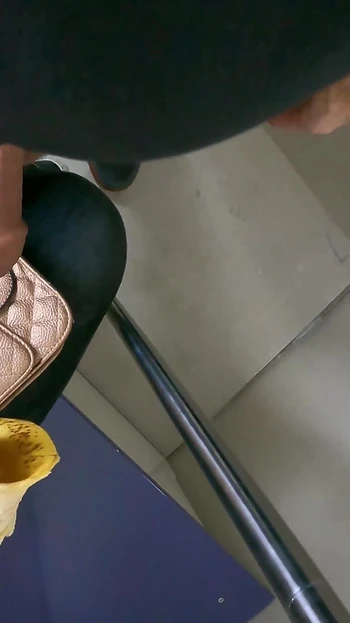 Dick Flash in Train