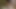 Wife's Anal Adventure and Teen's Oral Mastery