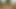 村のはずれのセクシーで小柄なムスリムの少女がビッグディックに支配された