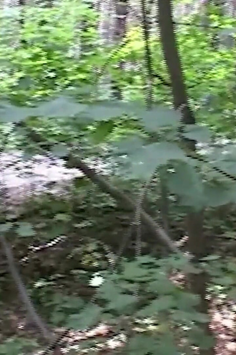 Blonde Babe Fingers Herself Deep in Forest