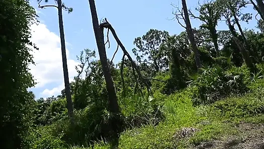 Bts Nature Walk dan Masturbasi di trail