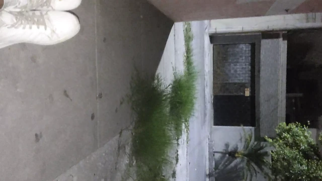 Public In Porch