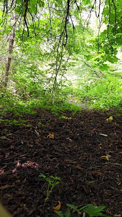 Exploring A Side Trail