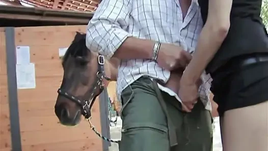 Him, His Lover and His Friend: Threesome in the Stable