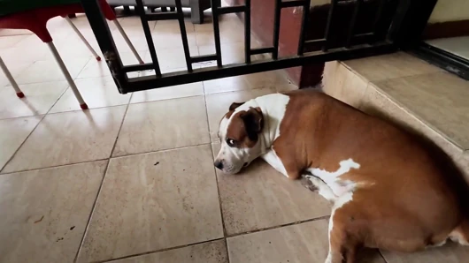The Fucking Toe on the Patio
