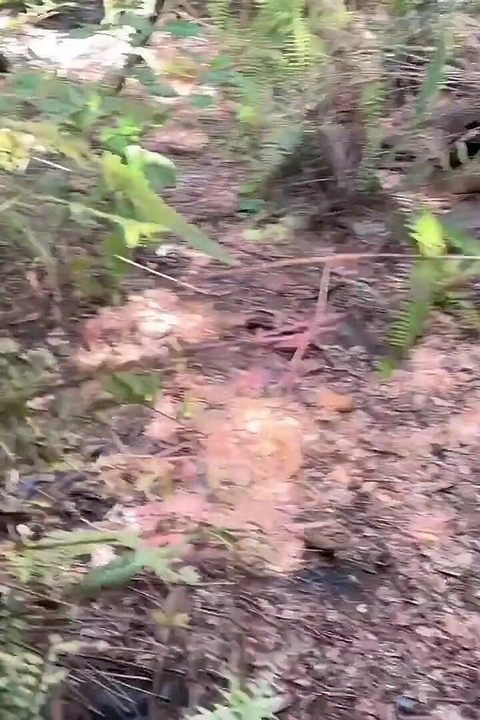 Always Makes Me Horny Walking in Abandoned Places and Jerk off Jona Ortiz Ortizjona