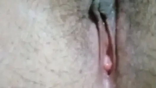Nahaufnahme muschi