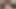 潮水を吹くMILFとファッキングマシン