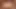 zenci ve asya ırklararası asyalı anal