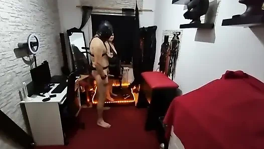 Nippeltortur und schwanzbearbeitung teil 2-2