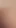 Captivating moment from "Bubble Butt Fishnets Faggot Femboy Takes Huge Inflatable Knotted Butt Plug Farts!"