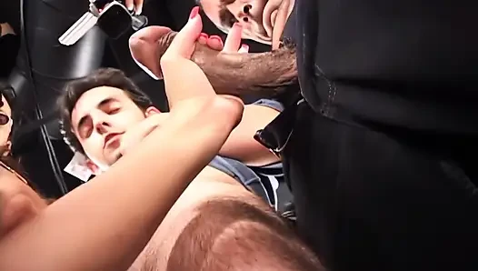 Стая