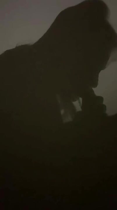 Прелюдії, тіньове шоу Mallu Girl