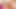 美しいカップルが激しくロマンチックにセックス
