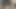 Yeni eyersiz abanoz kedi kahrolası