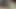My cum