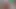 BrattyStonerKitten video