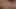 01-2-fetischblick- FemDom Variety-mit