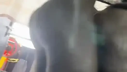 Ngentot pagi-pagi di dapur