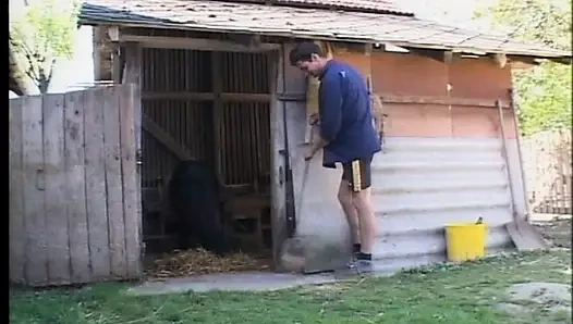 Las Viejas Gozonas (filmler)