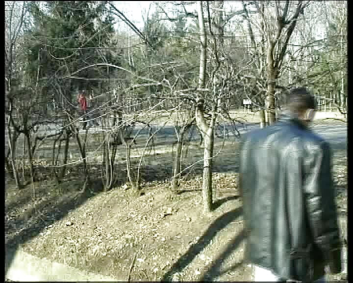 Behind German Doors Is Fucked Diligently