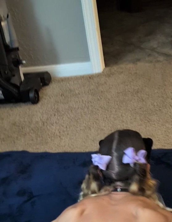 Lexi kitty diikat