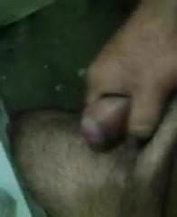 pene
