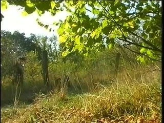 Two soldiers fucking a nurse