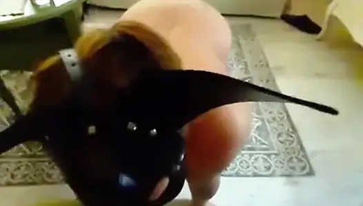 Jilat memek becekku sampai crot di dalam